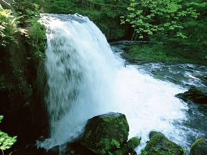 金沢駅東口から徒歩6分のビジネスホテル：東横INN金沢駅東口の魅力と詳細情報