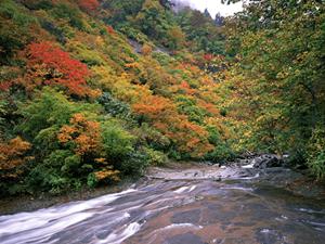 茨城県つくば市にある東横イン研究学園駅前の魅力と概要：快適な宿泊体験を提供するビジネスホテル