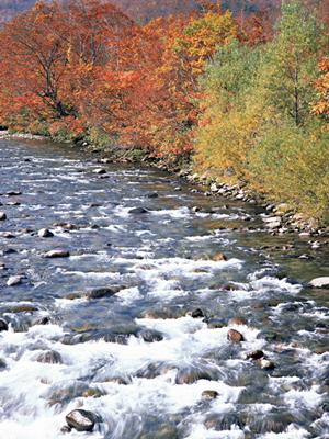 米子市にあるお勧めの温泉旅館情報