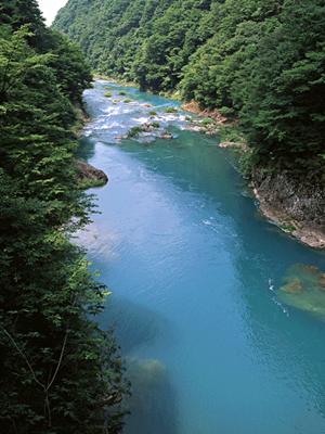 東横INN日本橋人形町：快適なビジネスホテルの魅力と詳細ガイド