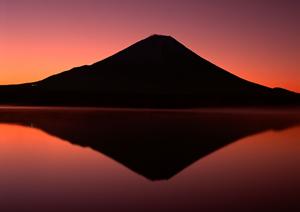 大阪・堺市のビジネスホテル【東横INN堺東駅】の魅力と便利な情報ガイド