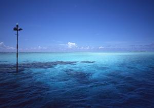東横INN東西線木場駅：アクセス抜群、快適なビジネスホテルの魅力と詳細情報