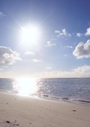 東横INN西武池袋線東久留米駅西口｜東京都東久留米市で快適なビジネスホテル滞在を実現
