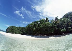 ミーアキャットカフェは横浜で利用可能