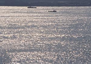 別府温泉 竹と椿のお宿 花べっぷ – 温かいおもてなしと豊かな自然に包まれた宿