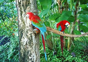 岡山駅徒歩2分！東横INN岡山駅西口広場の魅力と詳細情報
