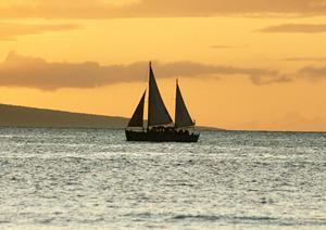 宇都宮駅近くのビジネスホテル【東横INN宇都宮駅前2】の魅力と詳細情報