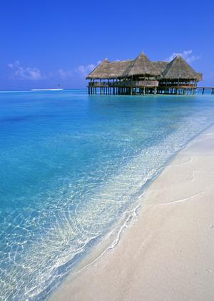 神戸から高松までは四国フェリーがお得