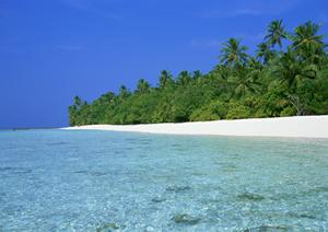 北戸田駅徒歩2分のビジネスホテル【東横INN北戸田駅東口】完全ガイド