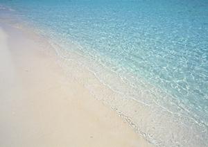 貸し別荘を河口湖で提供する施設