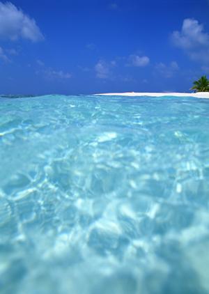 世界中には多くのクルーズがあります