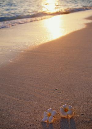 嵐山を五感で楽しめる趣のある旅館
