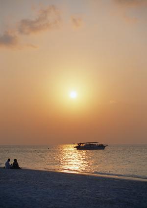 東伊豆では大型の回遊魚も見られます