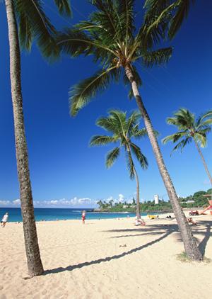 「グリーンヒルズニューみなみ」について