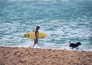 静岡市の格別なレストラン体験｜中島屋グランドホテルのテラスレストラン紹介