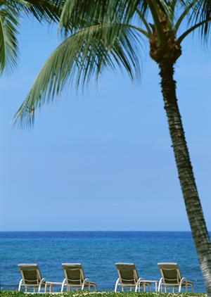 屋形船で景色と料理を堪能するならあみ幸