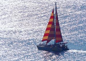 四国フェリーで可能！名物のうどんを食う