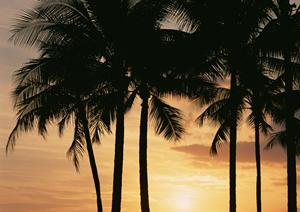 東京大手町に位置するホテルヴィラフォンテーヌの魅力と施設案内