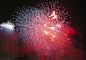 横浜・相模原のビジネスホテル【東横INNJR横浜線相模原駅前】詳細ガイド